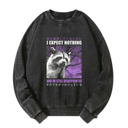 Tokyo-Lion Disappointed Raccoon Japanese Washed Sweatshirt-Tokyo-Lion