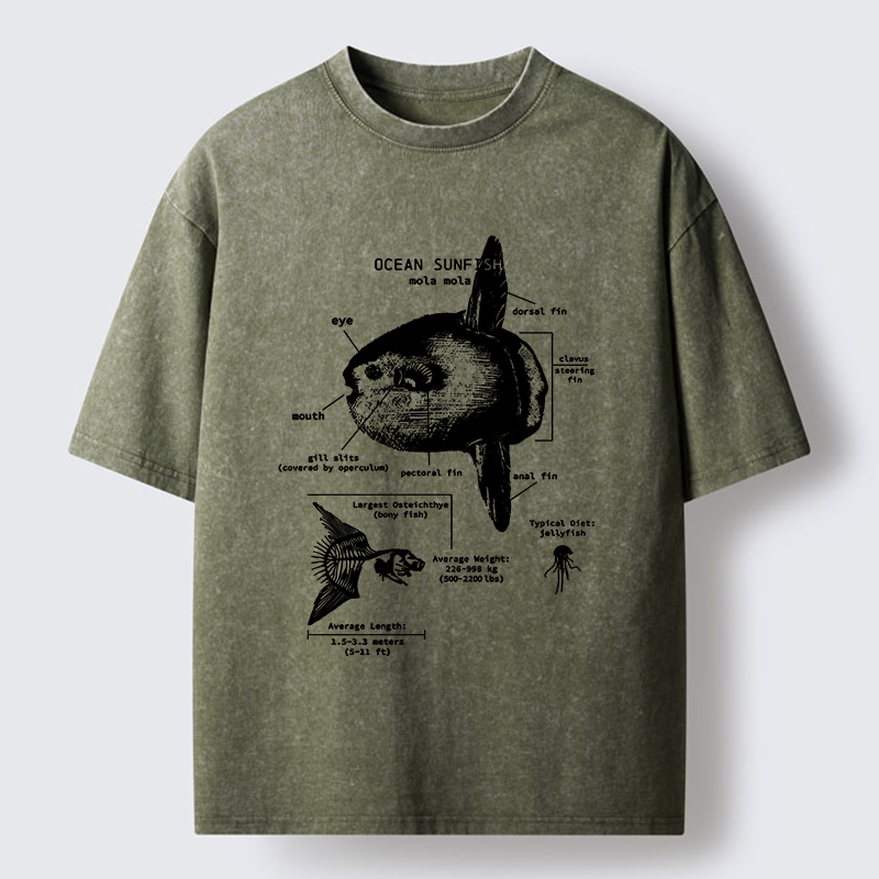 Tokyo-Lion Sunfish Funny Washed T-Shirt