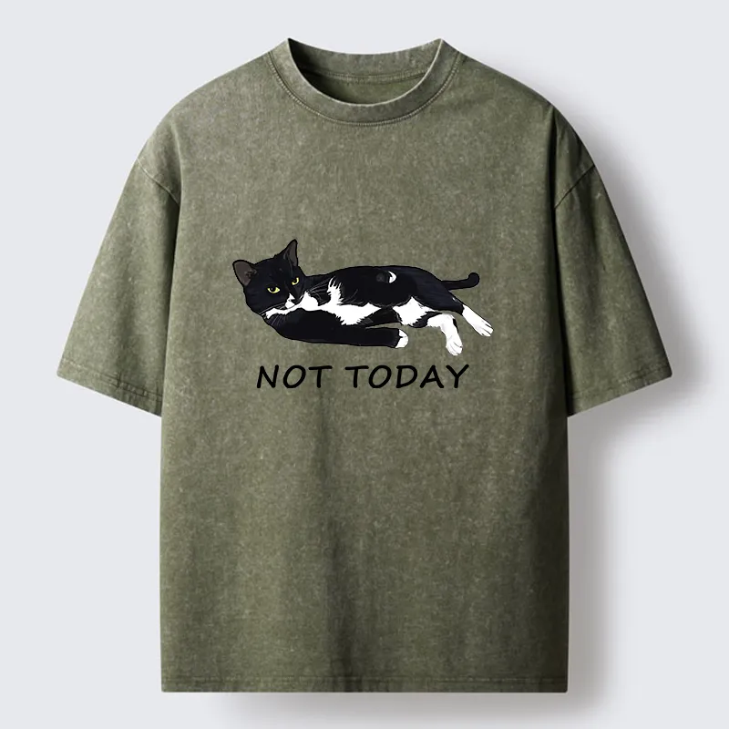 Tokyo-Lion Cat Said Not Today Washed T-Shirt