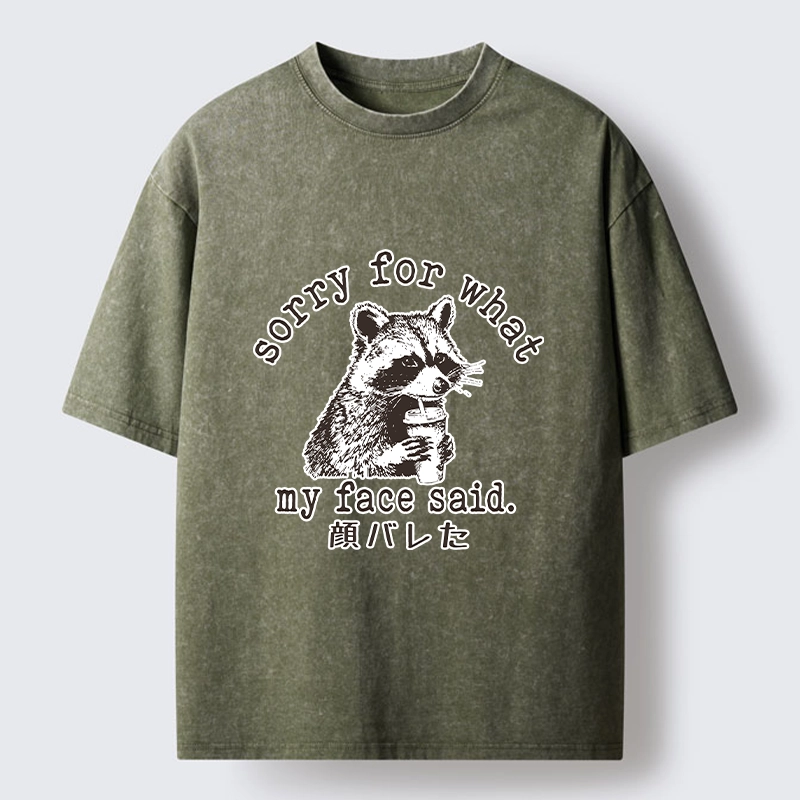 Tokyo-Lion Raccoon My Face Said Meme Washed T-Shirt-Tokyo-Lion