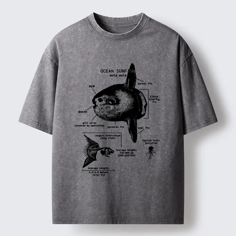 Tokyo-Lion Sunfish Funny Washed T-Shirt