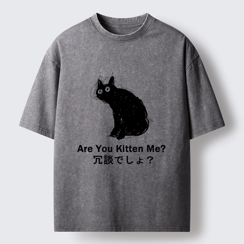 Tokyo-lion Are You Kitten Me Pun Art Washed T-Shirt-Tokyo-Lion