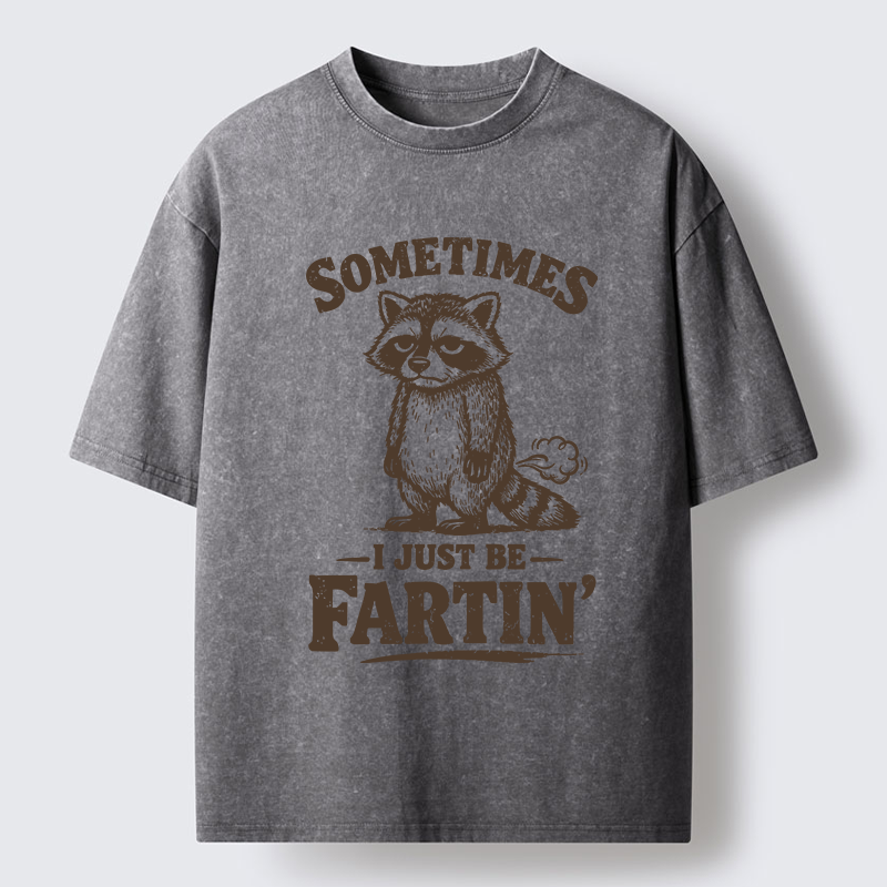Tokyo-Lion Farting Raccoon Washed T-Shirt-Tokyo-Lion