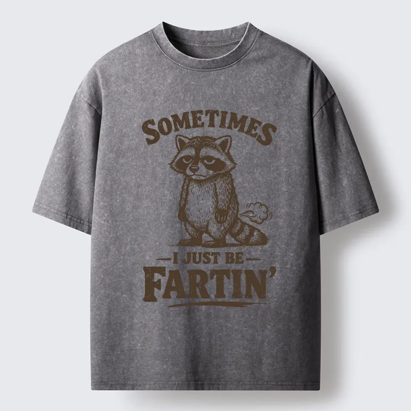 Tokyo-Lion Farting Raccoon Washed T-Shirt-Tokyo-Lion