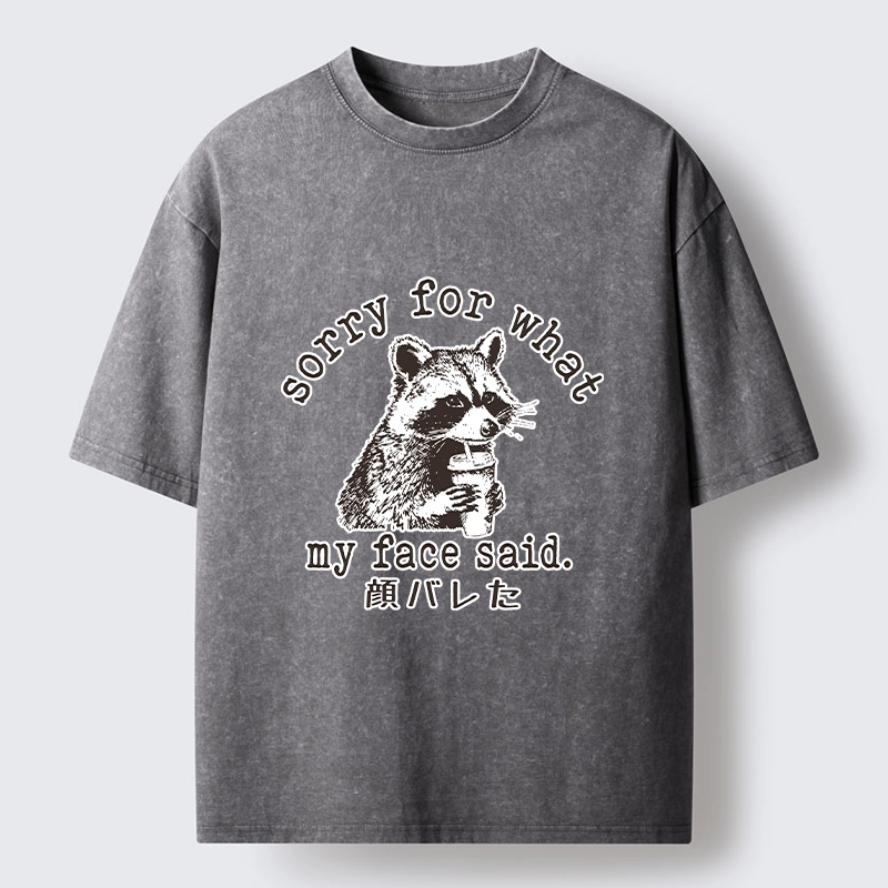 Tokyo-Lion Raccoon My Face Said Meme Washed T-Shirt-Tokyo-Lion