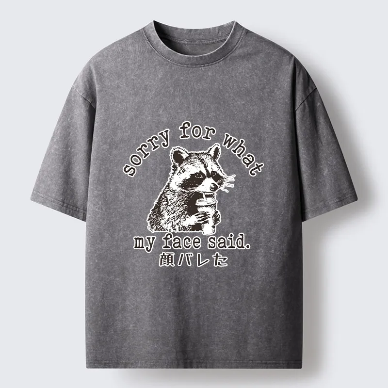 Tokyo-Lion Raccoon My Face Said Meme Washed T-Shirt-Tokyo-Lion