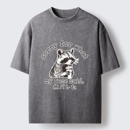 Tokyo-Lion Raccoon My Face Said Meme Washed T-Shirt-Tokyo-Lion