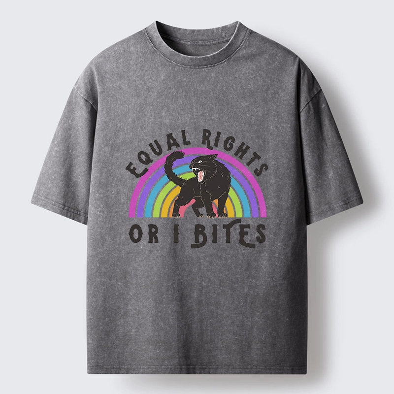 Tokyo-Lion Rainbow Panther Equal Rights Washed T-Shirt