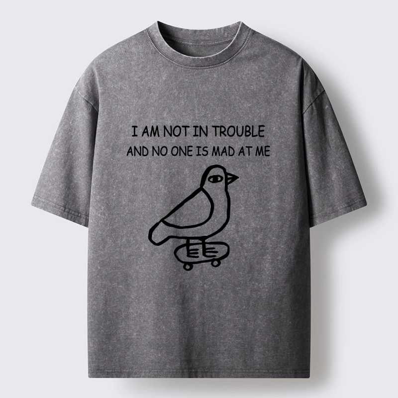 Tokyo-Lion Bird Pretends It Did Nothing Wrong Washed T-Shirt
