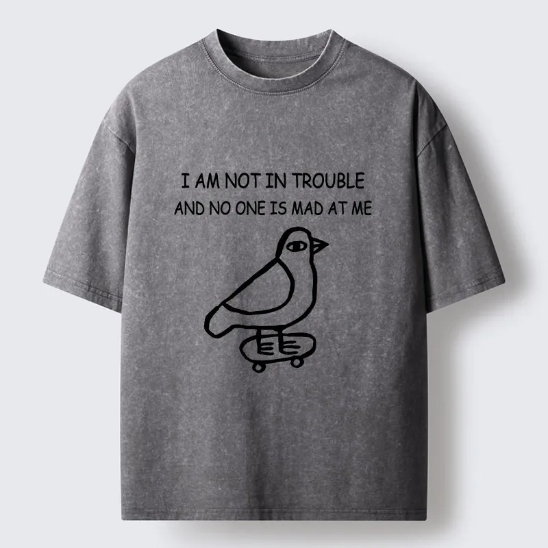 Tokyo-Lion Bird Pretends It Did Nothing Wrong Washed T-Shirt