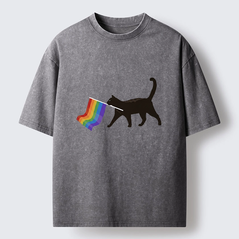 Tokyo-Lion Black Cat With Pride Flag Washed T-Shirt