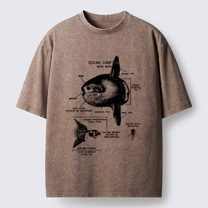 Tokyo-Lion Sunfish Funny Washed T-Shirt
