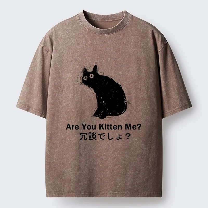 Tokyo-lion Are You Kitten Me Pun Art Washed T-Shirt-Tokyo-Lion