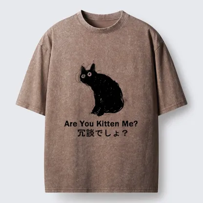 Tokyo-lion Are You Kitten Me Pun Art Washed T-Shirt-Tokyo-Lion