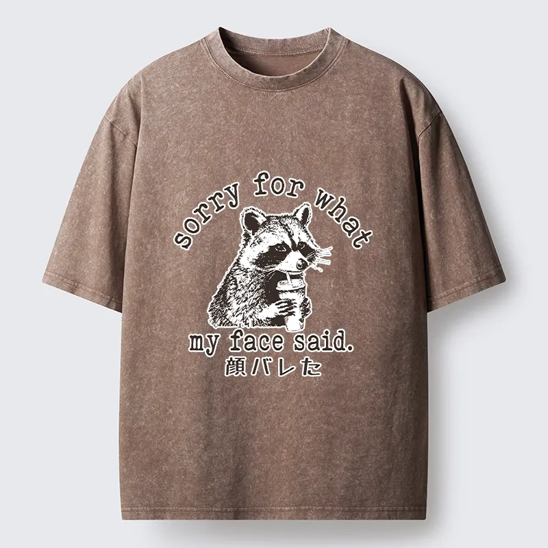 Tokyo-Lion Raccoon My Face Said Meme Washed T-Shirt-Tokyo-Lion