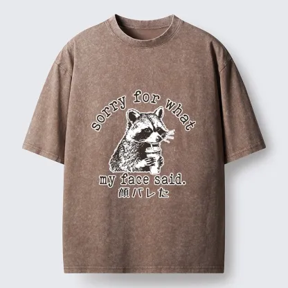 Tokyo-Lion Raccoon My Face Said Meme Washed T-Shirt-Tokyo-Lion
