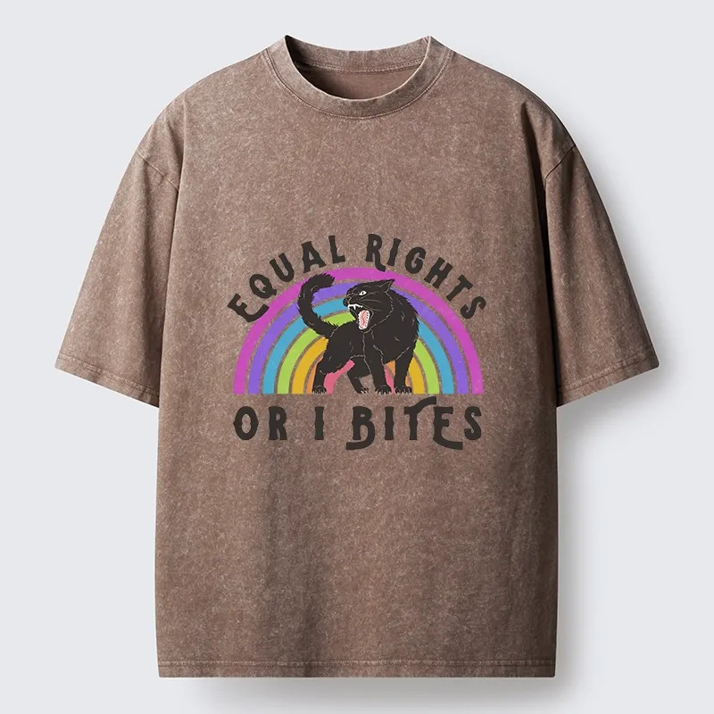 Tokyo-Lion Rainbow Panther Equal Rights Washed T-Shirt