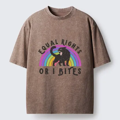 Tokyo-Lion Rainbow Panther Equal Rights Washed T-Shirt