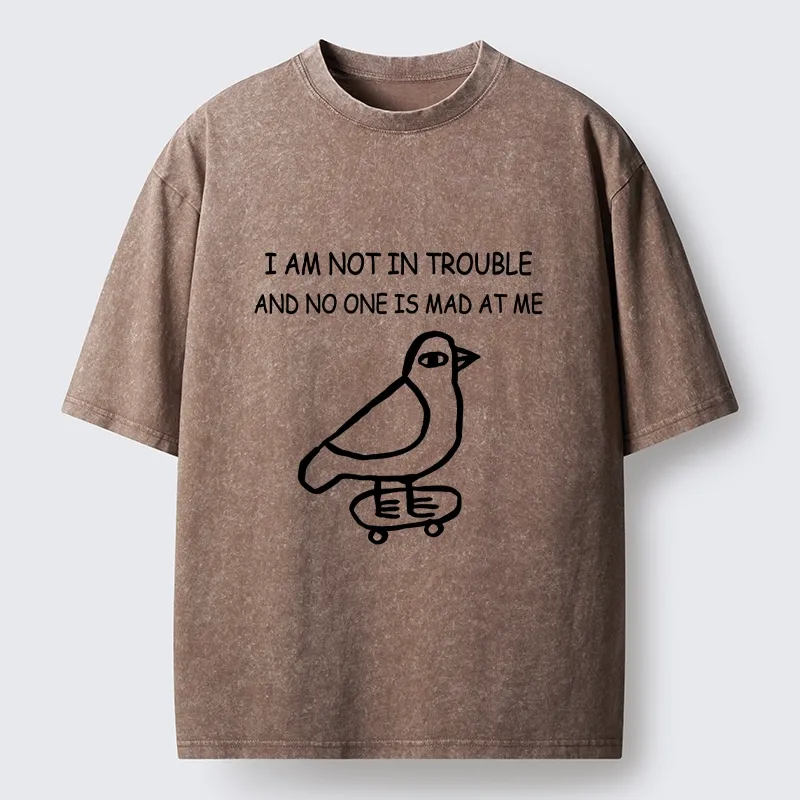 Tokyo-Lion Bird Pretends It Did Nothing Wrong Washed T-Shirt