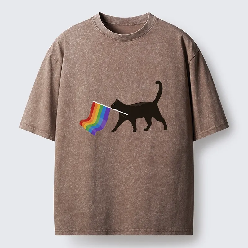 Tokyo-Lion Black Cat With Pride Flag Washed T-Shirt