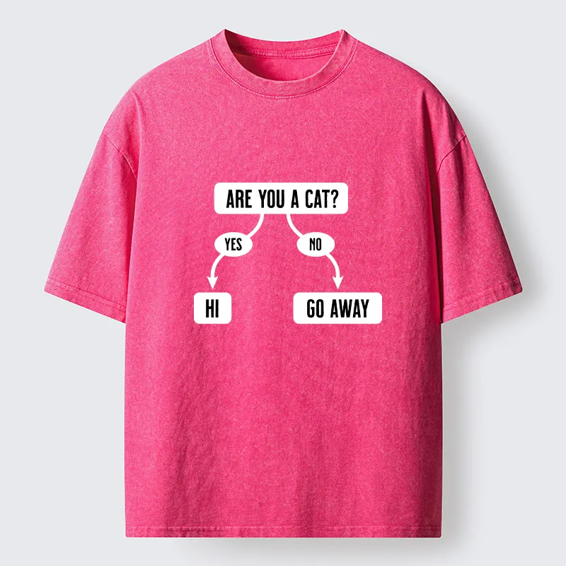 Tokyo-Lion Are You A Cat Washed T-Shirt