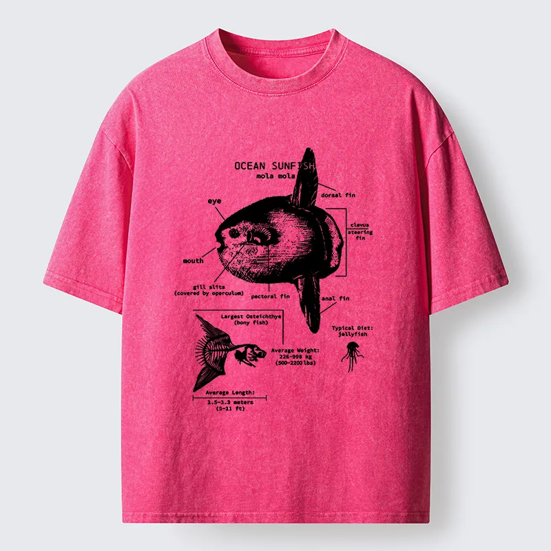 Tokyo-Lion Sunfish Funny Washed T-Shirt