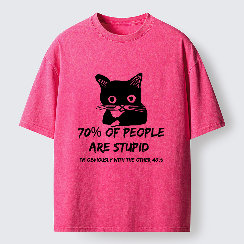 Tokyo-Lion Opinionated Funny Washed T-Shirt