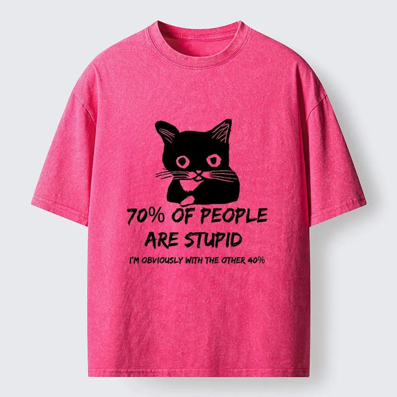 Tokyo-Lion Opinionated Funny Washed T-Shirt