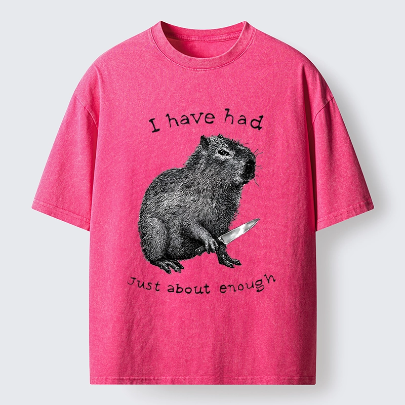 Tokyo-Lion Capybara With A Knife Washed T-Shirt