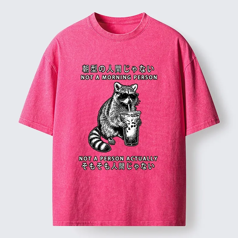 Tokyo-Lion Raccoon Rejecting Early Mornings Washed T-Shirt-Tokyo-Lion