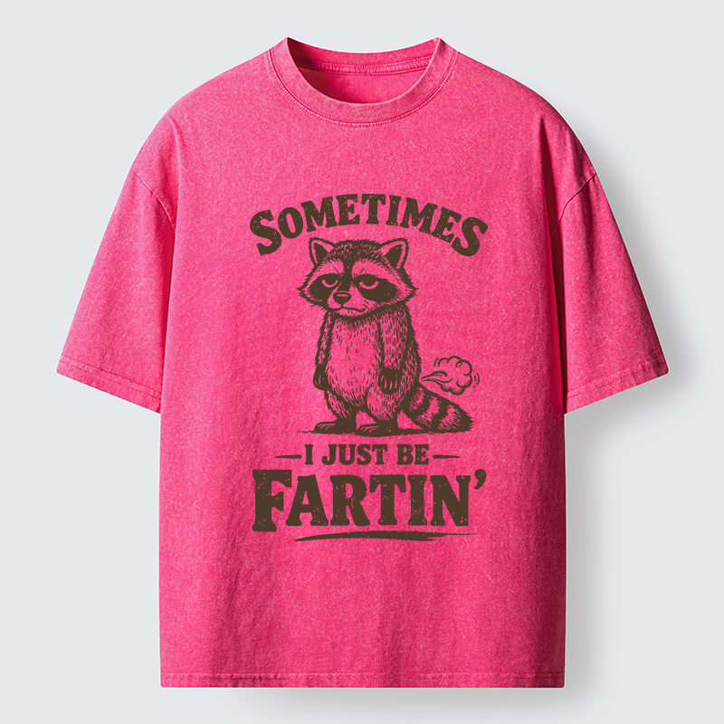 Tokyo-Lion Farting Raccoon Washed T-Shirt-Tokyo-Lion