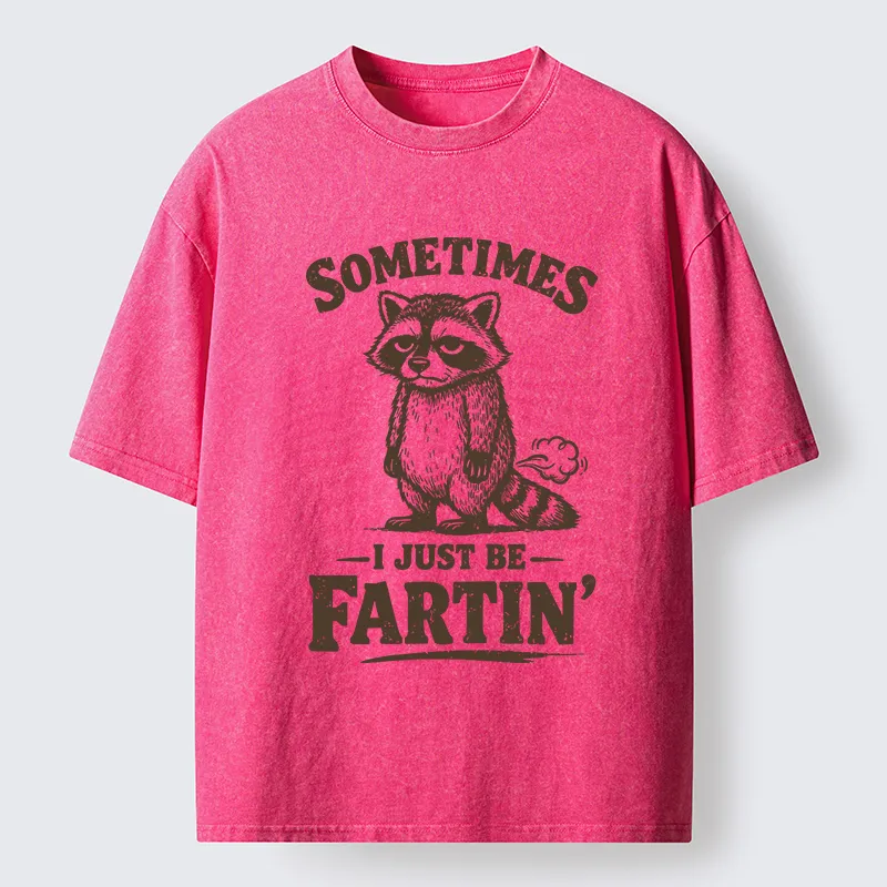 Tokyo-Lion Farting Raccoon Washed T-Shirt-Tokyo-Lion