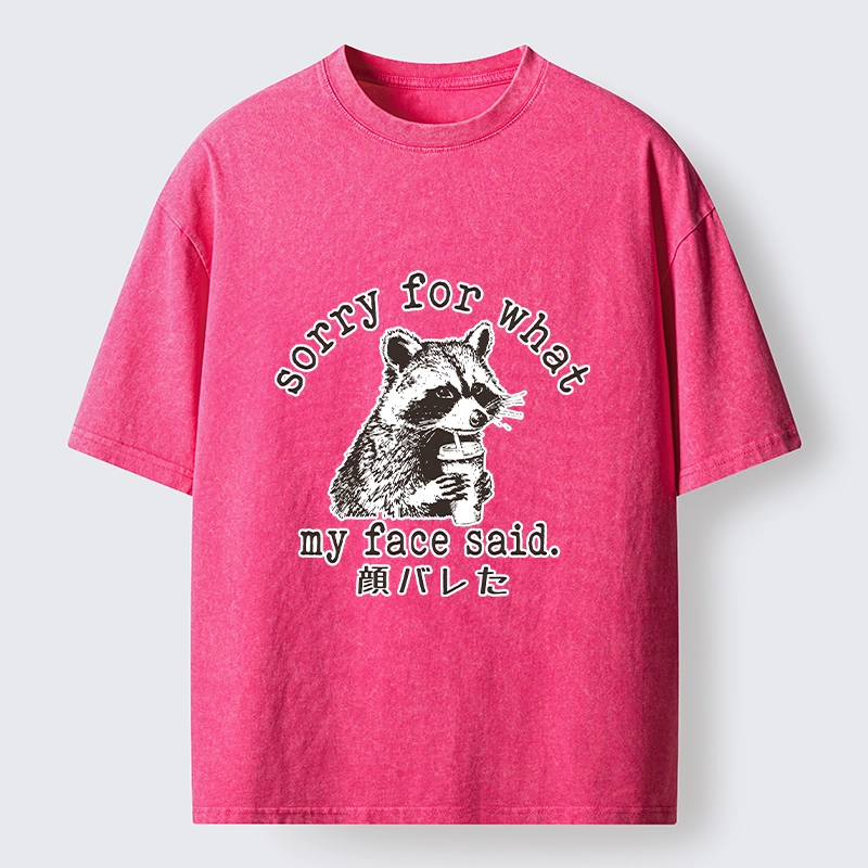 Tokyo-Lion Raccoon My Face Said Meme Washed T-Shirt-Tokyo-Lion