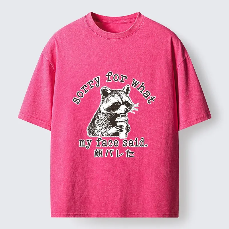 Tokyo-Lion Raccoon My Face Said Meme Washed T-Shirt-Tokyo-Lion