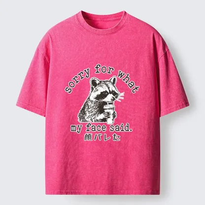 Tokyo-Lion Raccoon My Face Said Meme Washed T-Shirt-Tokyo-Lion
