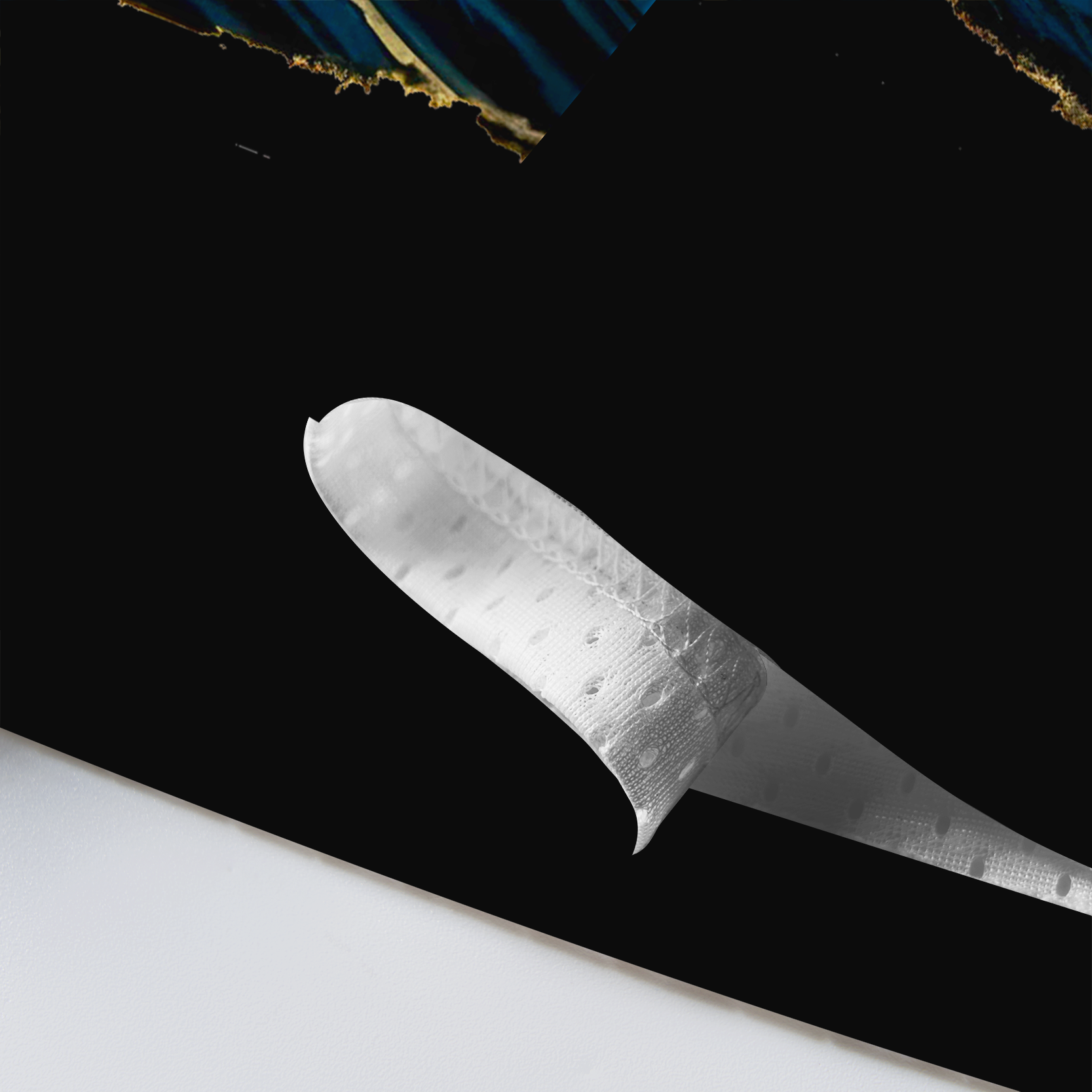 Tokyo-Lion Surf Beast Mesh Jersey