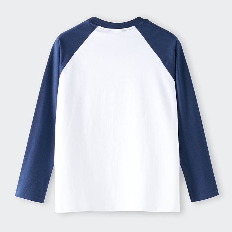Tokyo-Lion Raven's Question Raglan Long Sleeve T-shirt