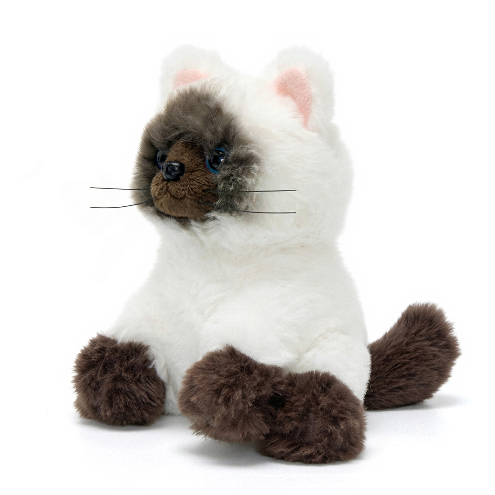 Dress Up Kitten Playset