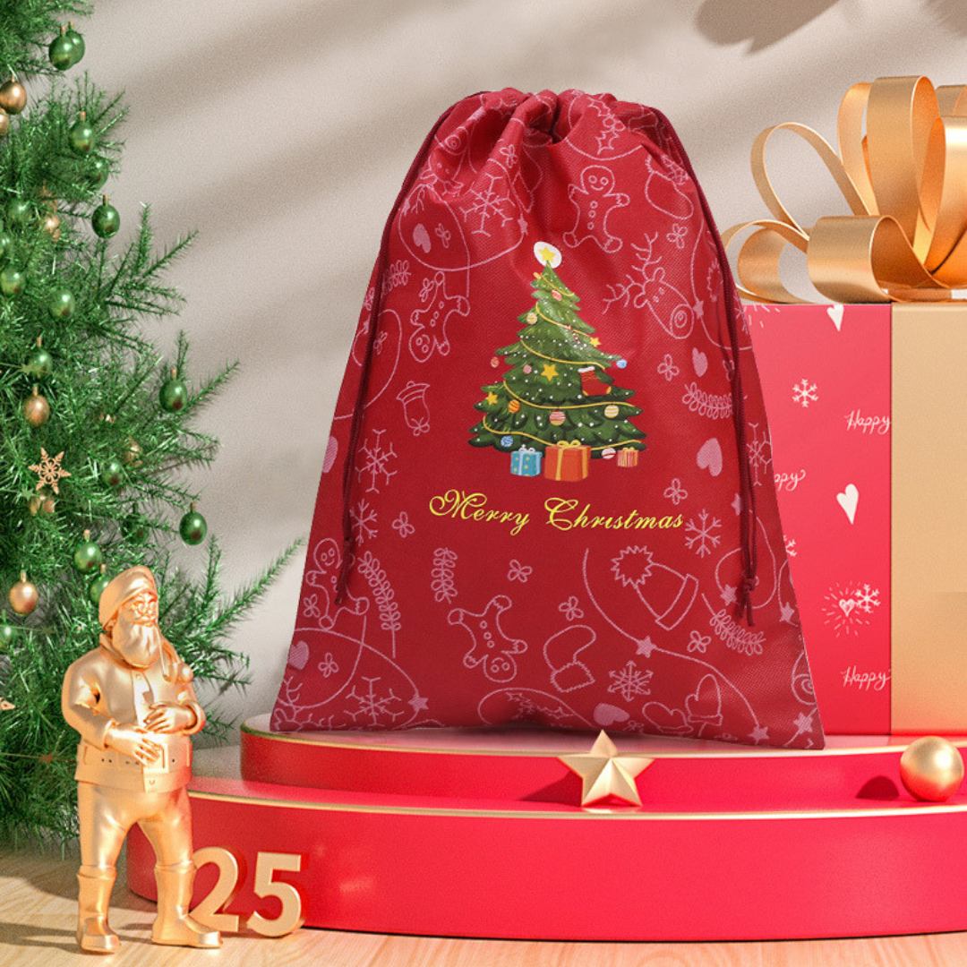 21" H Christmas Gift Bag 40x54.5cm