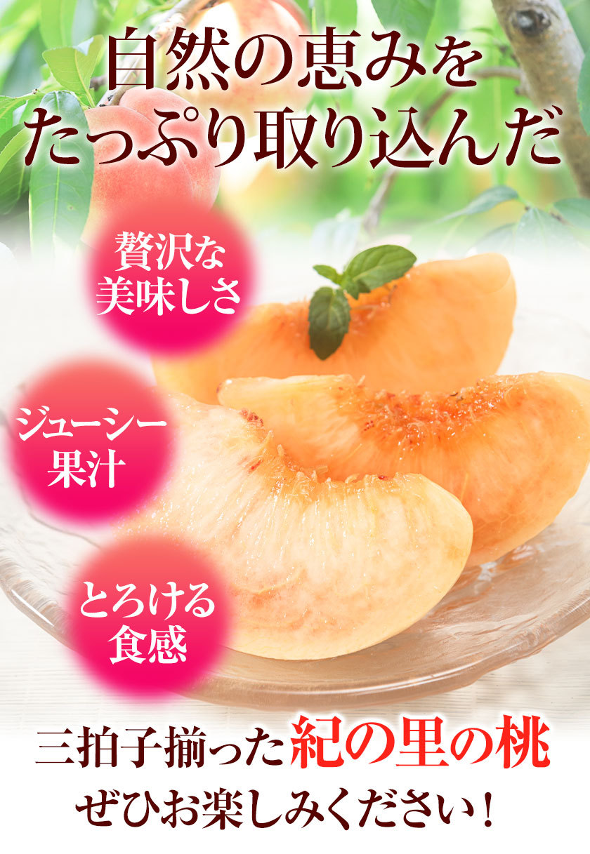 【ふるさと納税】高レビュー 和歌山県産 紀の里の桃 約2kg(6～8玉) 先行量販《2025年6月中旬-8月中旬頃出荷》桃 もも モモ 果物 フルーツ お取り寄せ 和歌山 白鳳 日川白鳳 八旗白鳳 清水白桃 川中島白桃 送料無料 9800円 和歌山県産