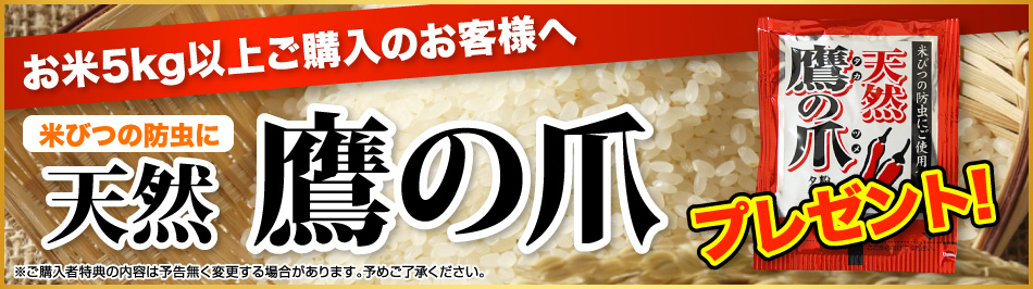 新米,米,5kg,ブレンド米,つや姫ブレンド,5キロ,宮城県産,令和7年産,送料無料,プレゼント