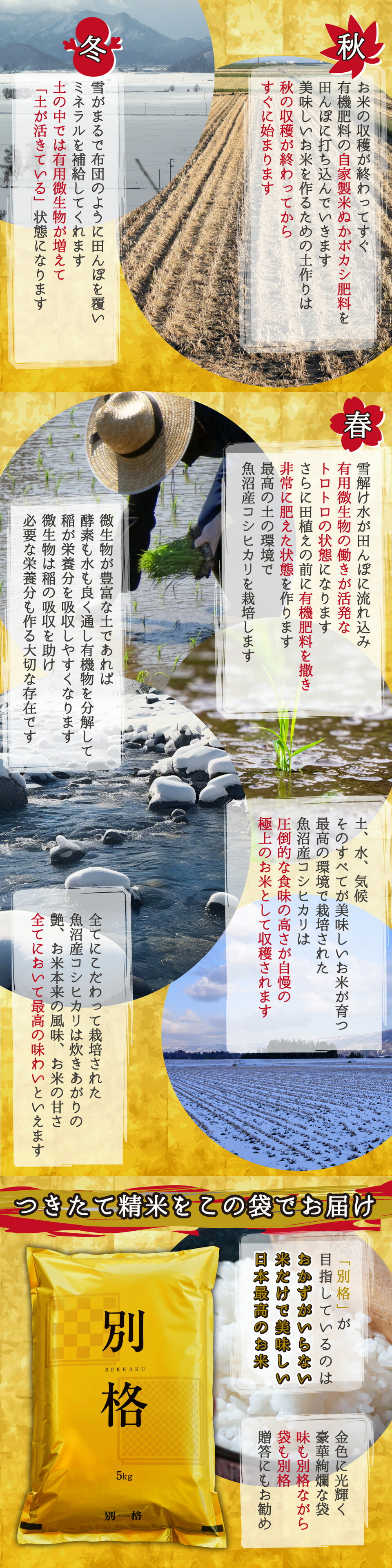 米 10kg コシヒカリ 新潟県魚沼産コシヒカリ【別格】 米10kg（5kg×2） 令和5年産新米 有機質肥料栽培米 ｜ 米 10kg コシヒカリ おこめ お米 10kg 米 送料無料
