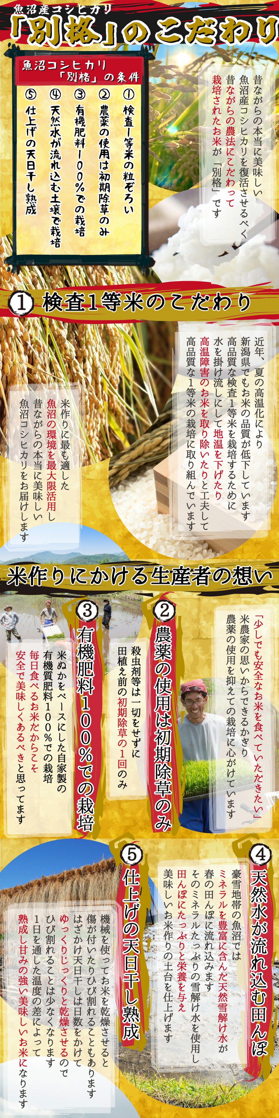 米 10kg コシヒカリ 新潟県魚沼産コシヒカリ【別格】 米10kg（5kg×2） 令和5年産新米 有機質肥料栽培米 ｜ 米 10kg コシヒカリ おこめ お米 10kg 米 送料無料