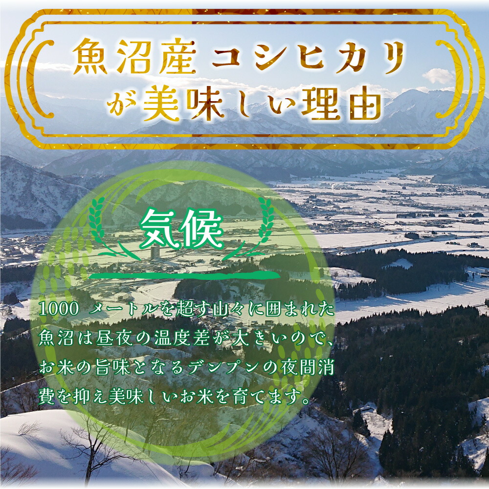 米 お米 コシヒカリ 新潟 魚沼  新潟県魚沼産コシヒカリ 「別格」 米10kg（5kg×2） 送料無料 令和5年産新米 有機質肥料栽培米 ｜ 米 おこめ お米 10kg 米 送料無料