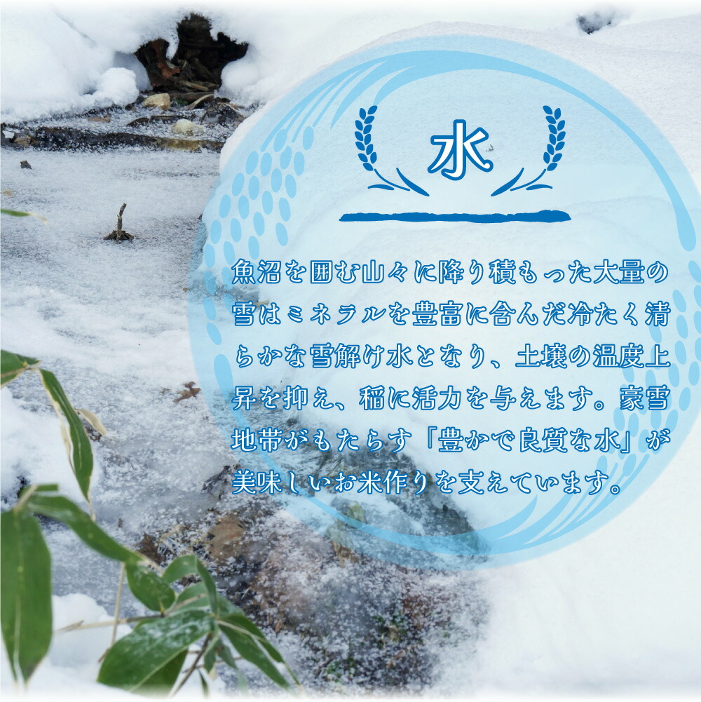 米 お米 コシヒカリ 新潟 魚沼  新潟県魚沼産コシヒカリ 「別格」 米10kg（5kg×2） 送料無料 令和5年産新米 有機質肥料栽培米 ｜ 米 おこめ お米 10kg 米 送料無料