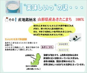 [年間ランキング受賞記念★特価＆P２倍] 令和7年産 無洗米 山形県産 あきたこまち 10kg 5kg×2袋 送料無料 [年間ランキング グルメ大賞]Shop Of The Year 米大賞