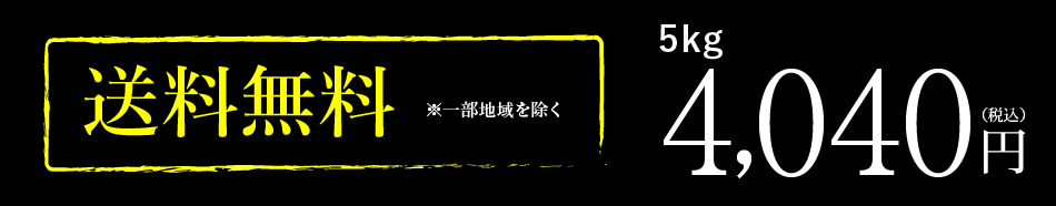 新米,米,5kg,ブレンド米,つや姫ブレンド,5キロ,宮城県産,令和7年産,送料無料,価格