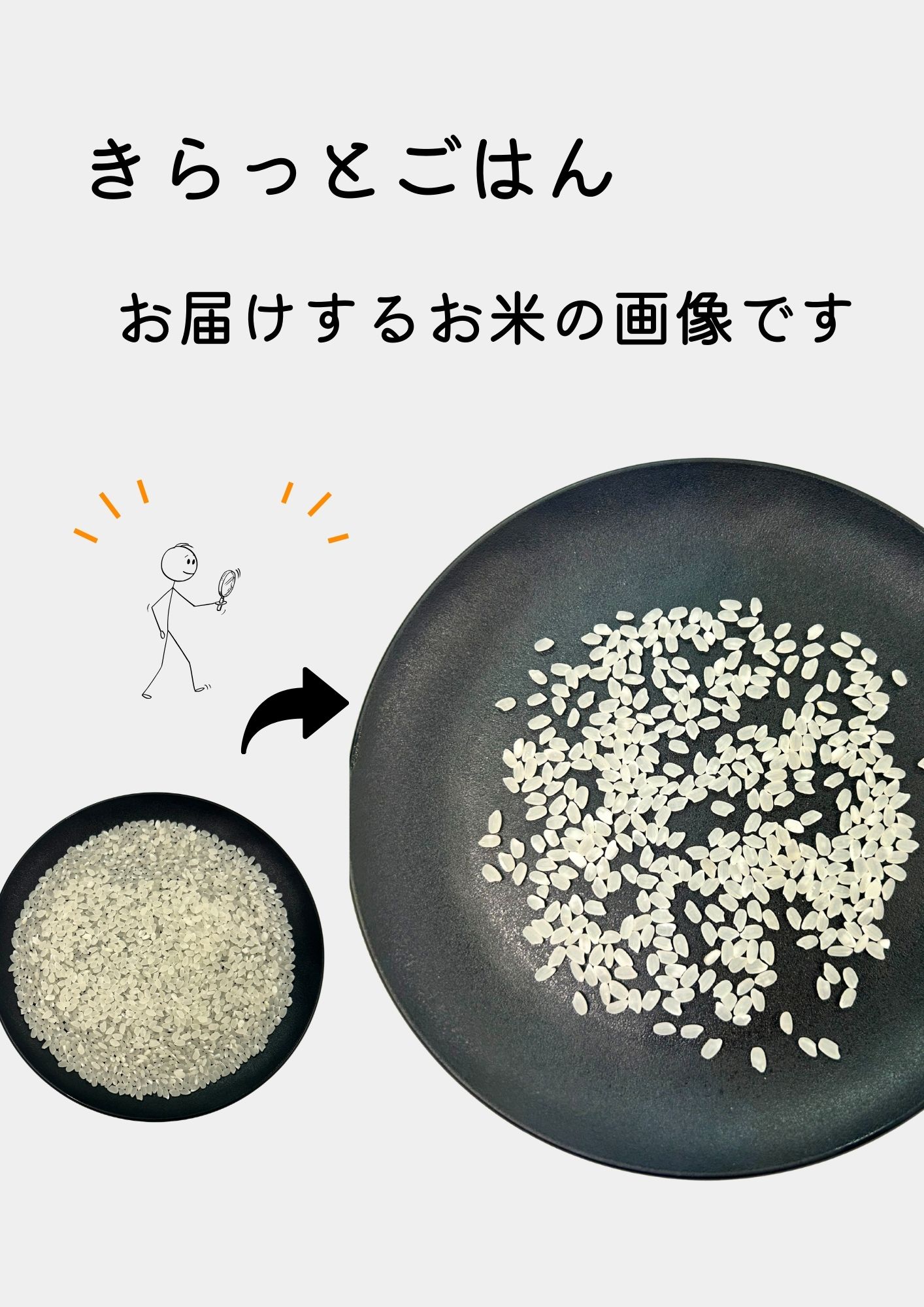 きらっとごはん2