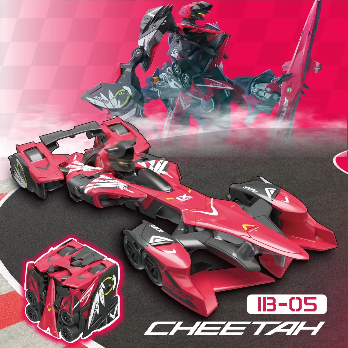 IB-05 CHEETAH