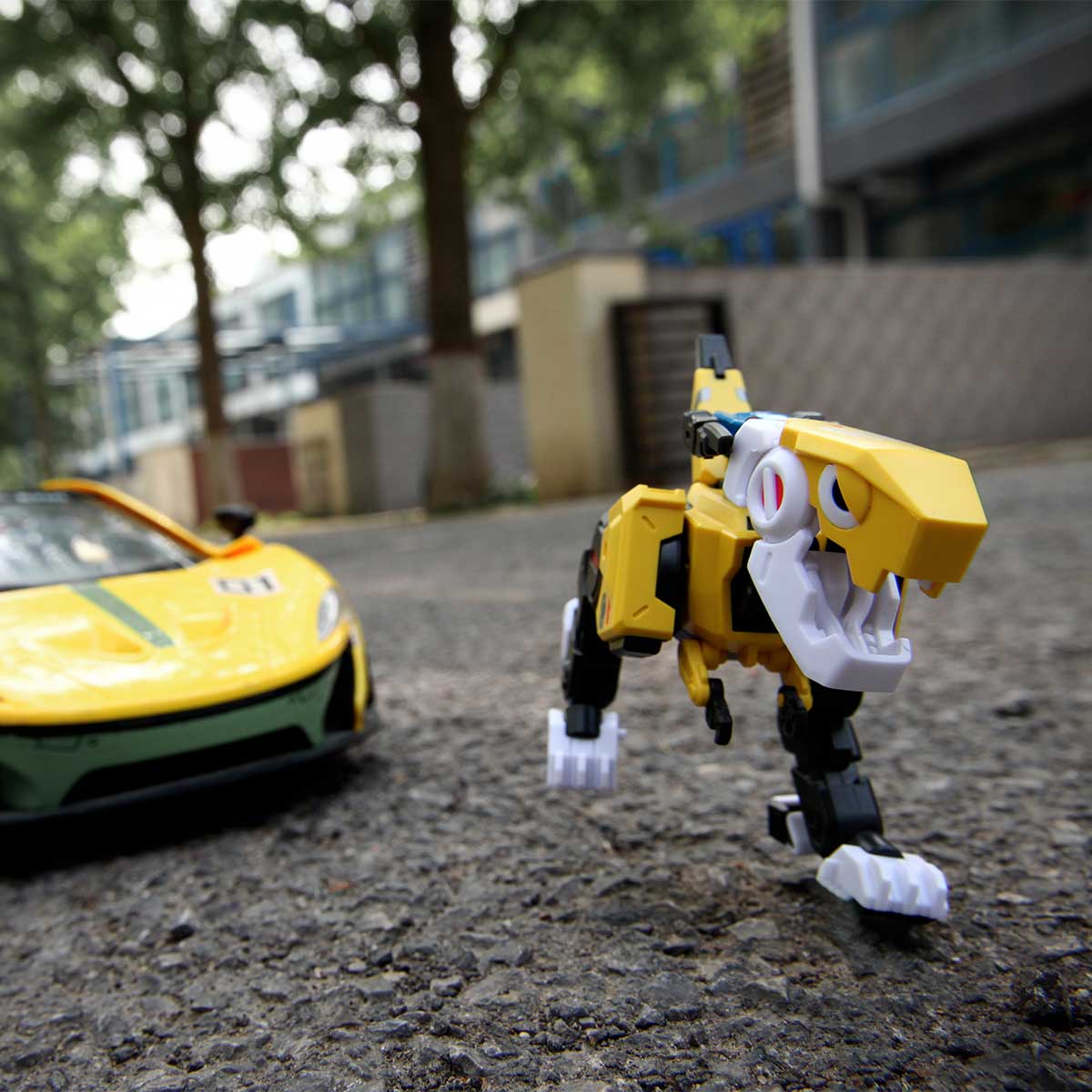 BB-01 DIO LITE EDITION